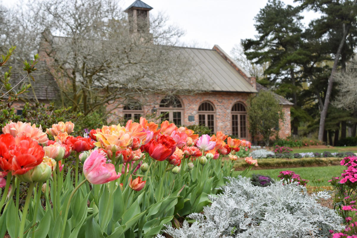Burden Museum And Gardens: Discover Nature's Sanctuary