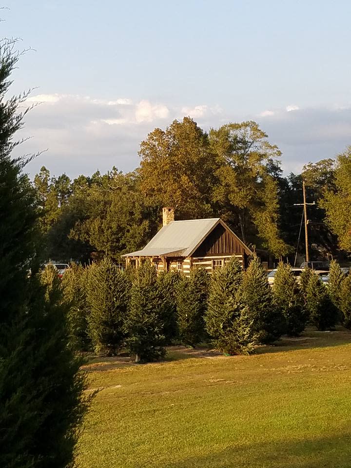 Bozeman's Christmas Tree Farm Lumberton, TX 77657