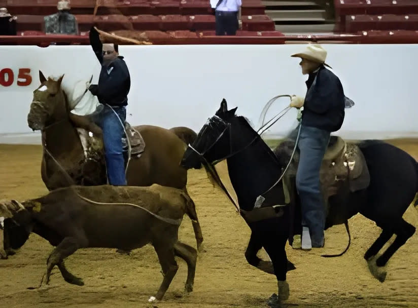 Ymbl Rodeo Beaumont TX 77705