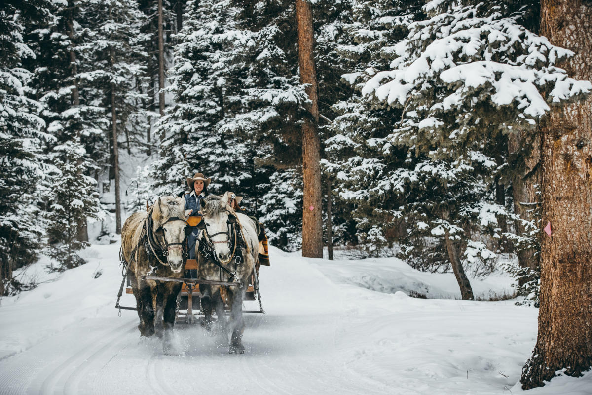 Lone Mountain Ranch: Sleigh Ride Dinners