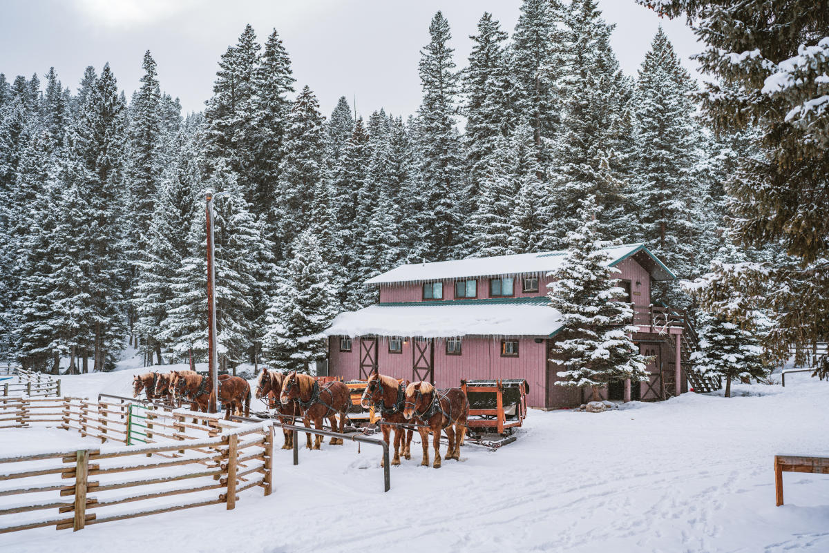 Lone Mountain Ranch: Sleigh Ride Dinners