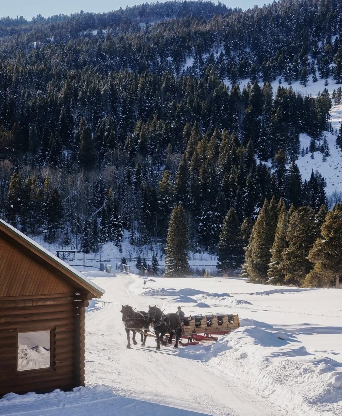 Hardware Ranch Sleigh Rides 320 Guest Ranch- Sleigh Rides