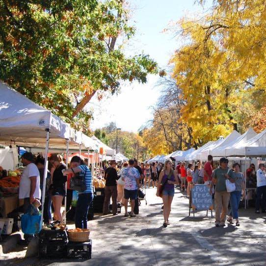 Boulder Farmers Market  Explore the Insider's Guide