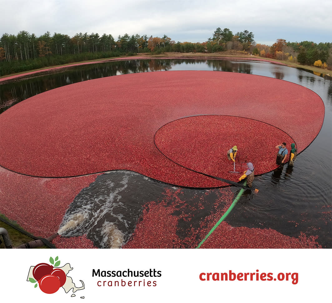 Cranberry Bog Group Tours