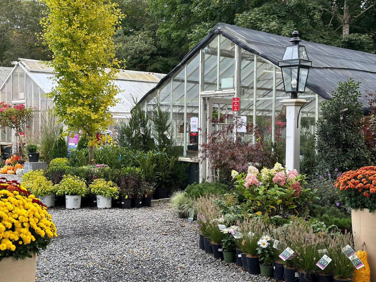 Beacon Nurseries & Garden Centre
