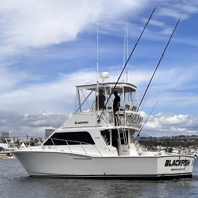 Davey's Locker Sportfishing & Whale Watching photo 6