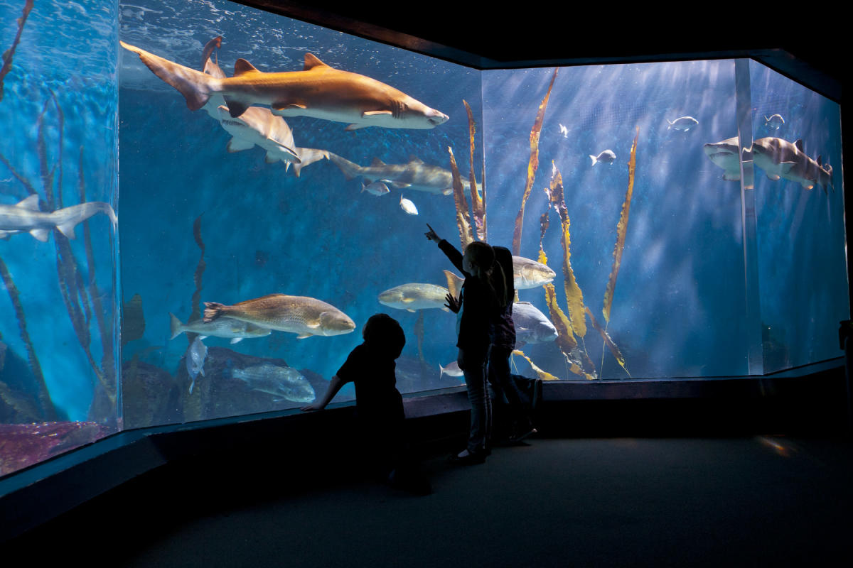 水族館　MARINETIME The Maritime Aquarium at Norwalk