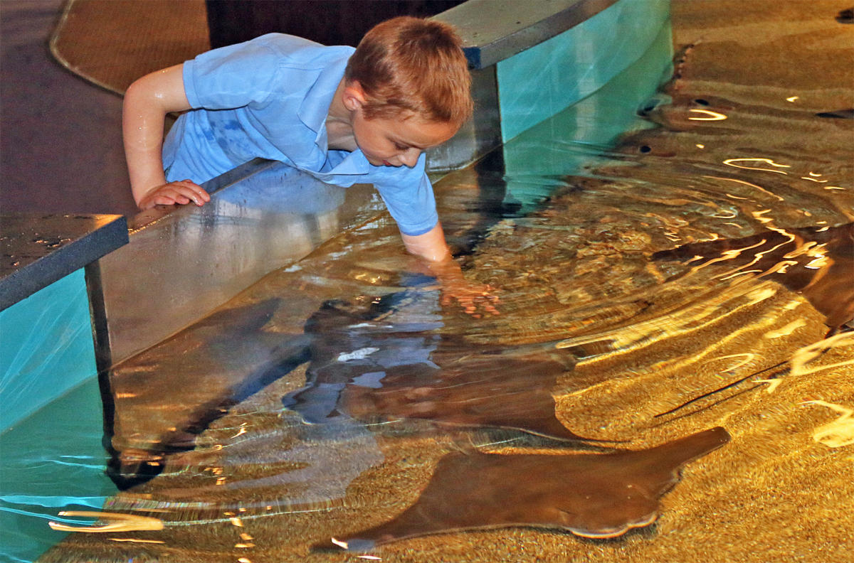 The Maritime Aquarium at Norwalk