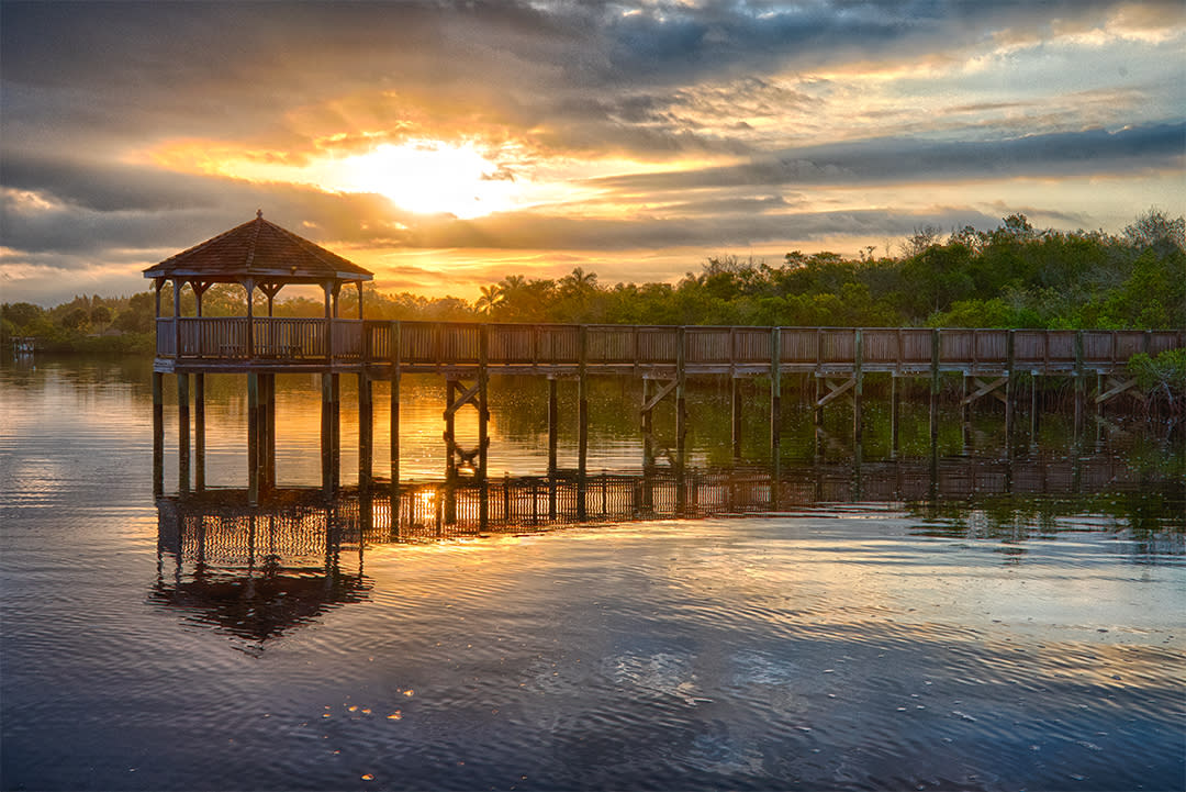 Peace River Botanical Gardens: Explore Nature's Beauty