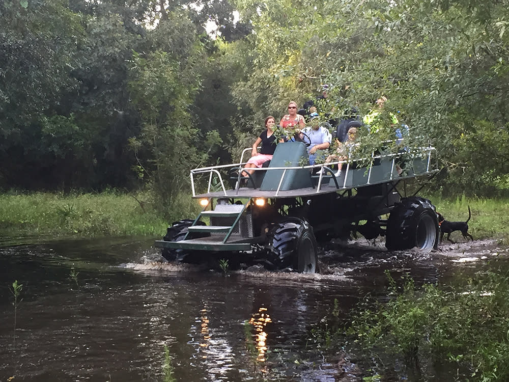 Swamp buggy rides online