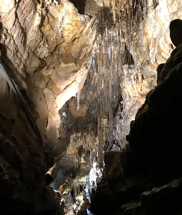 無料発送 IMG_2747_D7C4D533-ED87-438B- 邦楽