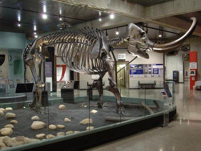 Ohio History Center | Columbus, OH 43211