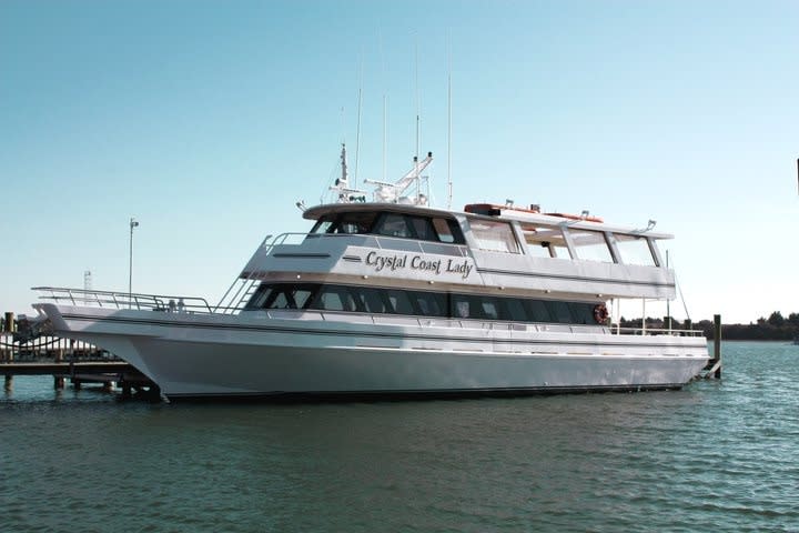 Starboard Cruise Services, 8400 NW 36th St, Doral, FL, Cruises