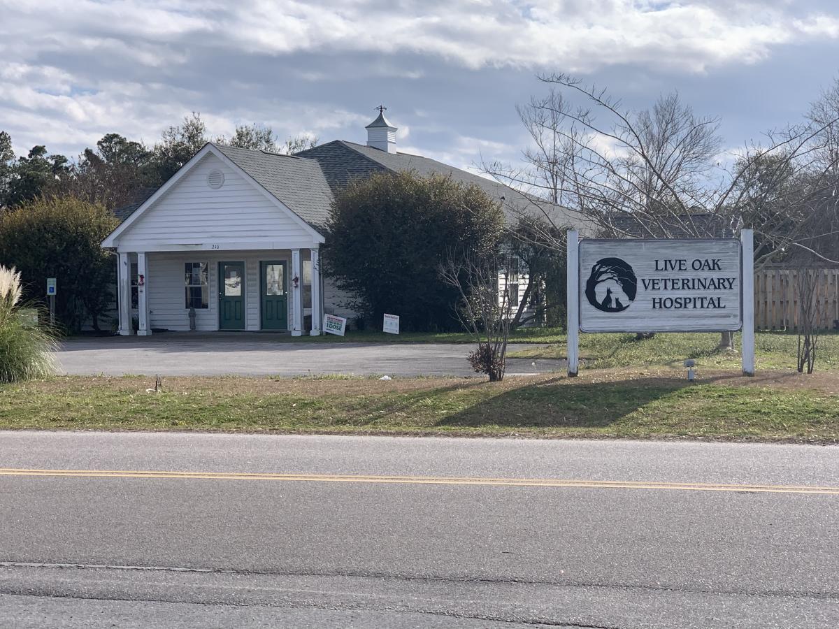 Live oak outlet animal hospital