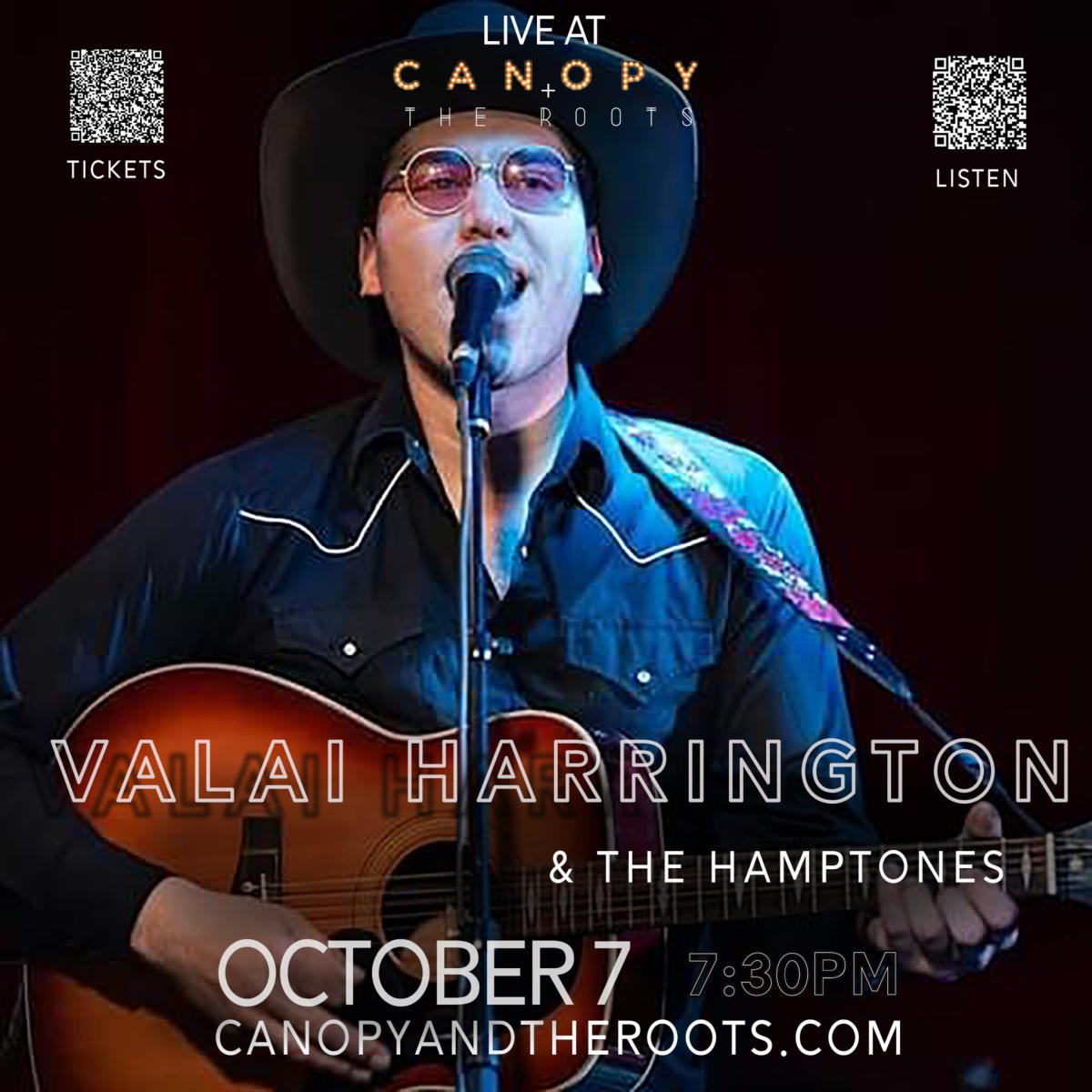 Vilai Harrington and the Hamptones Americana LIVE in the Roots
