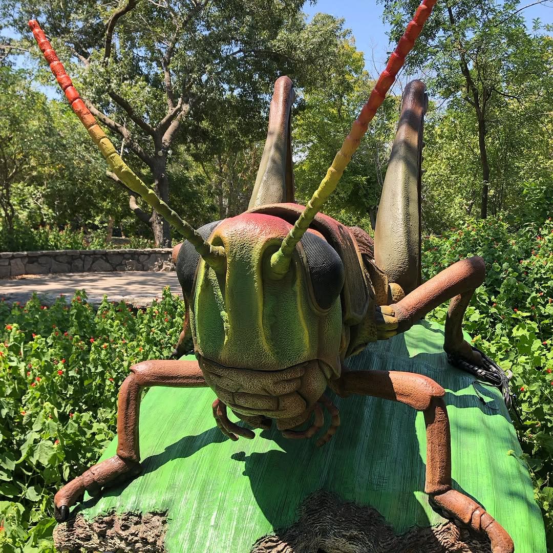 Bugs LIVE