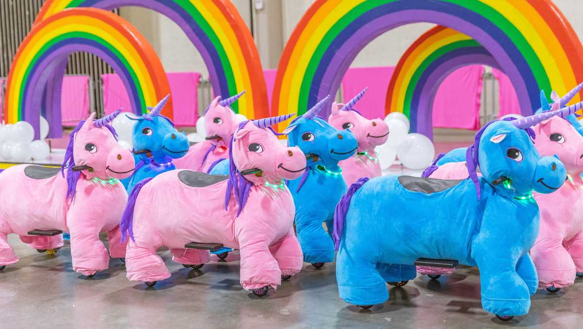 Unicorn World Dallas