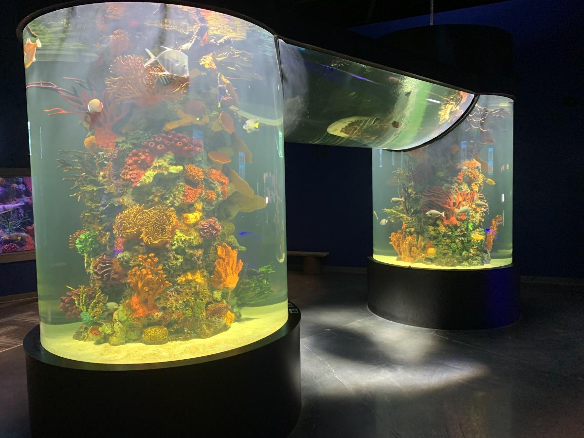 City farmers fish tanks shop