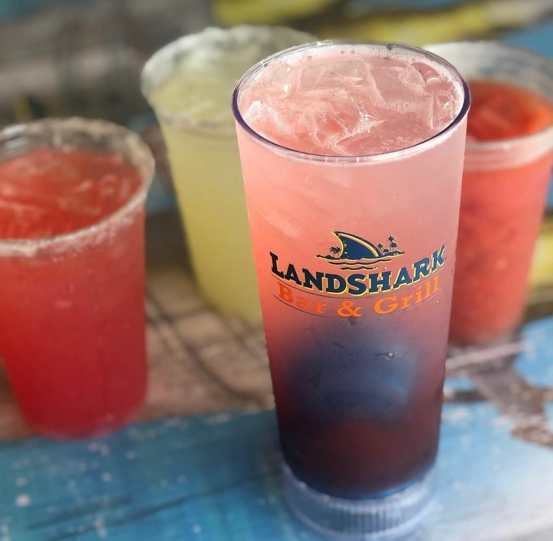 Landshark beach cruiser deals