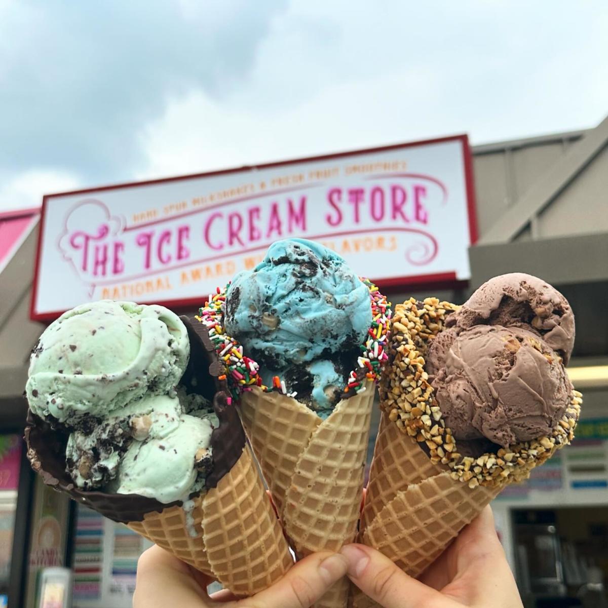 The Ice Cream Store