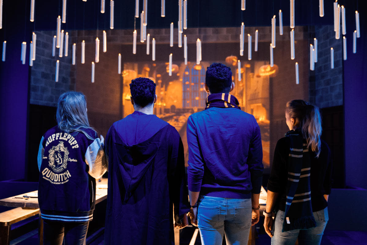 Harry Potter™: The Exhibition 1