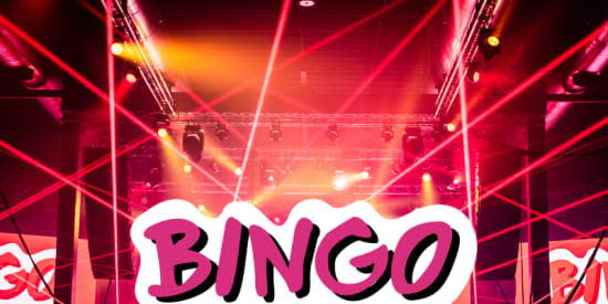 Bingo Loco: The Ultimate Bingo Party 2