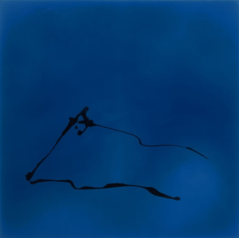 Shades of Blue