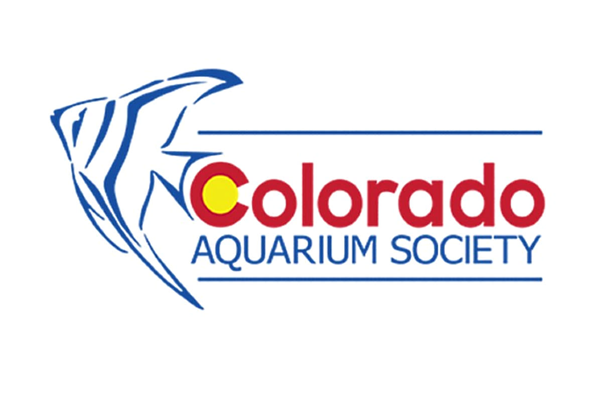 Colorado Aquarium Society Monthly Meeting 1