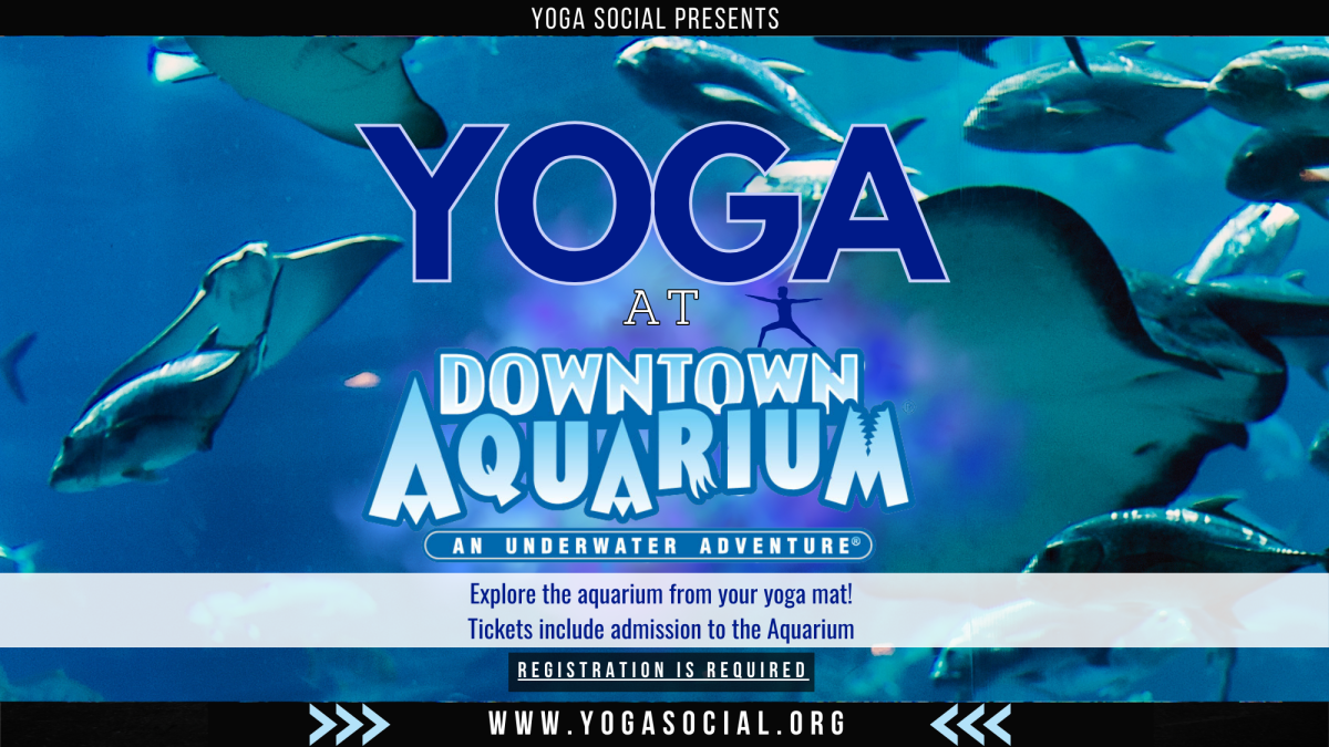 Yoga at the Downtown Aquarium 2