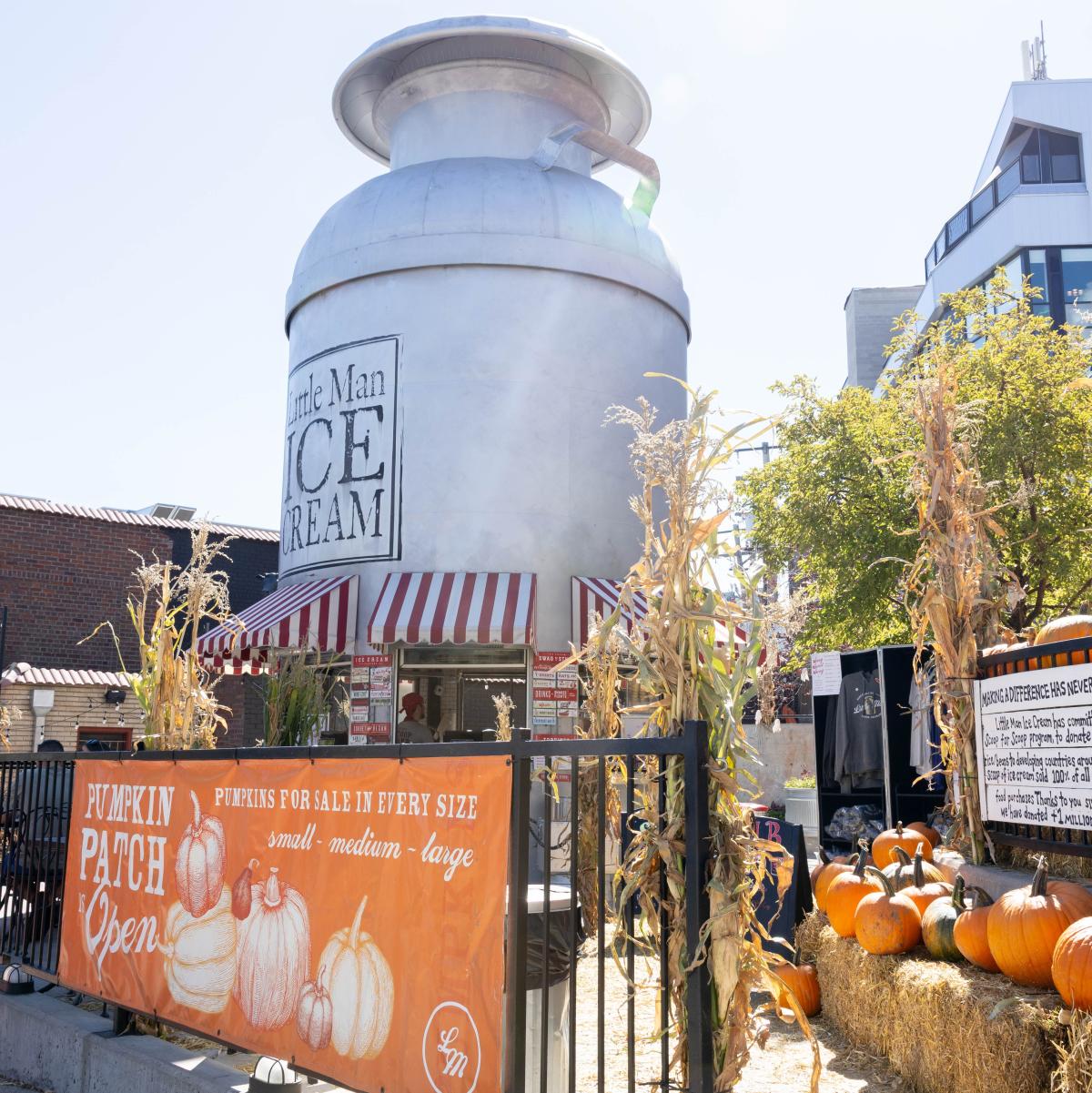 Little Man Ice Cream Pumpkin Patch 1