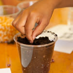Children and Family Workshop: Savvy Seed Starters 1