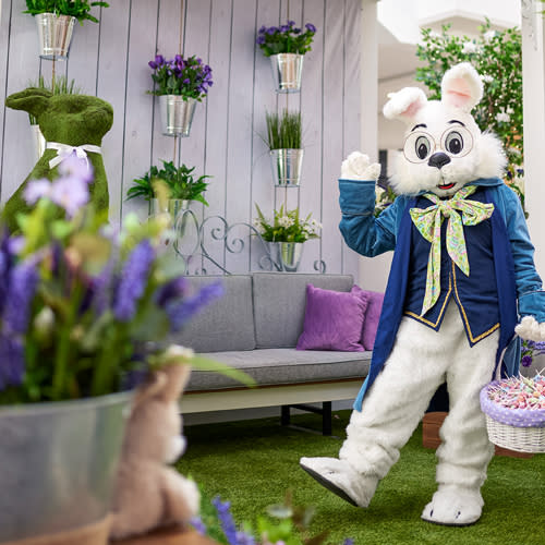 Caring Bunny