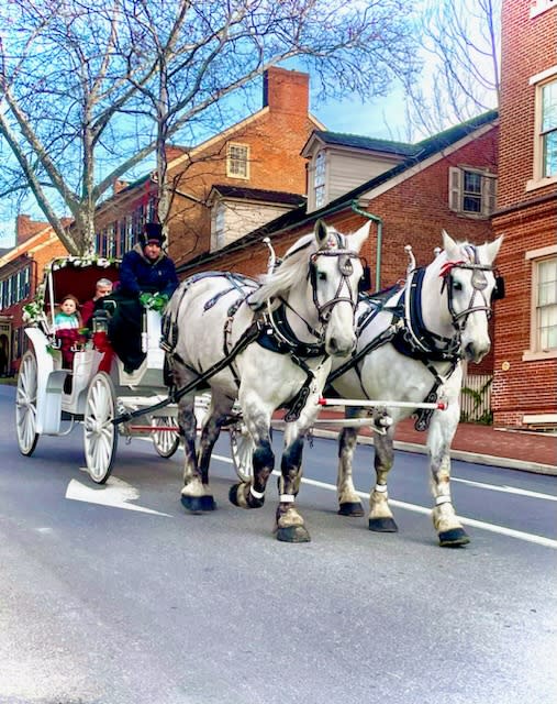 Horse and buggy rides near me deals