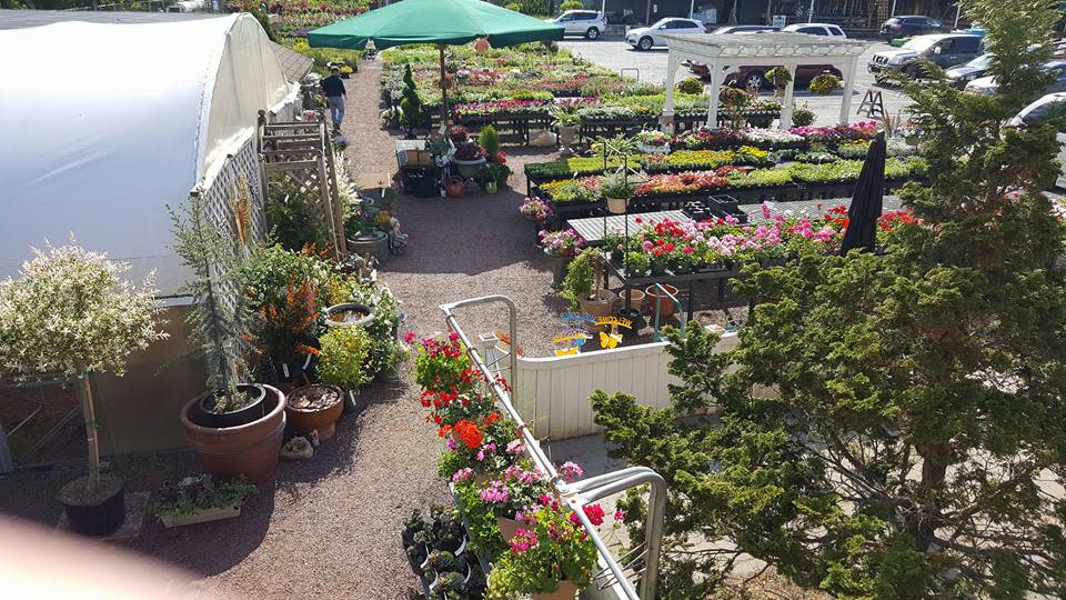 Lehigh Valley Garden Center | Fasci Garden