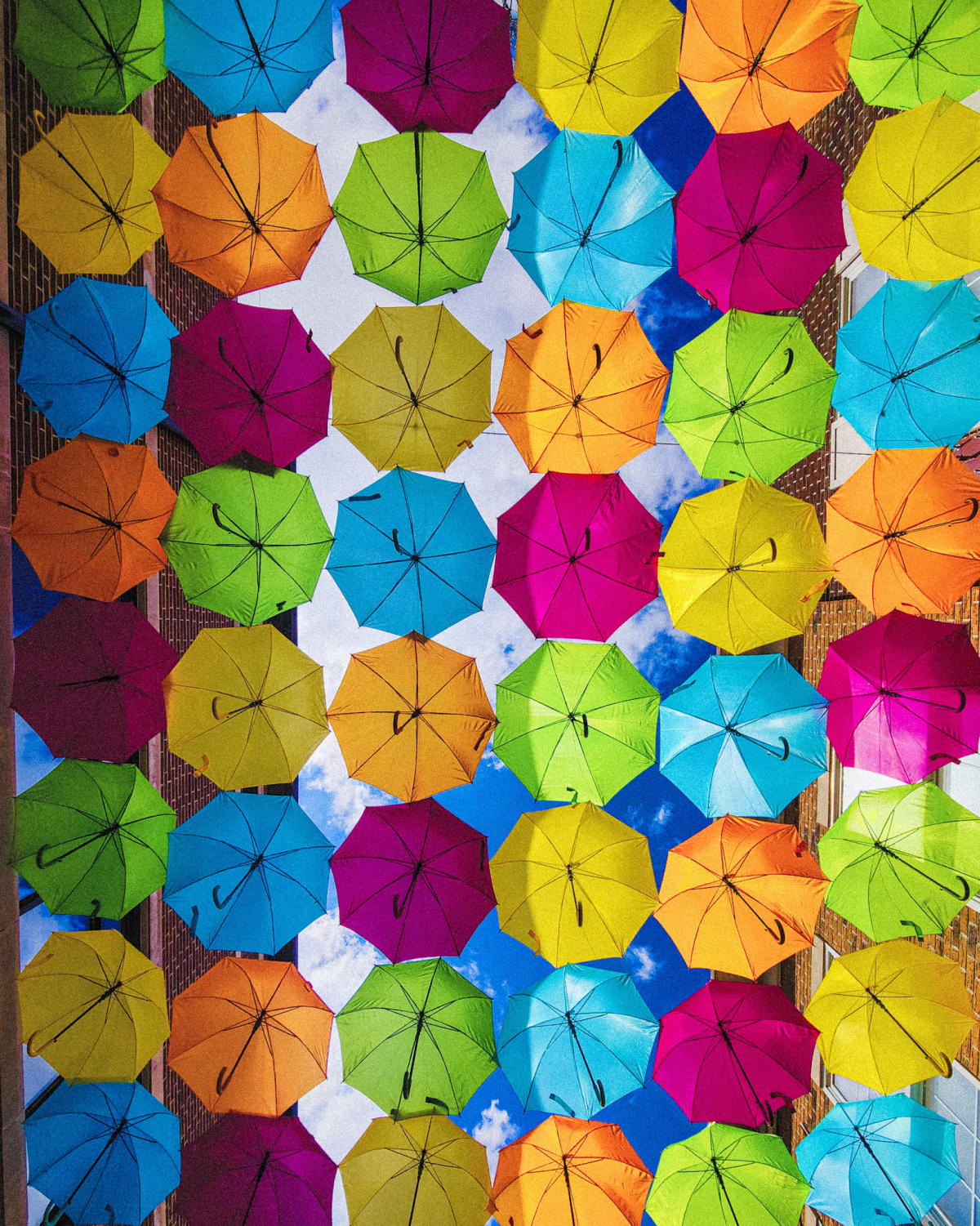 Umbrella Sky Elmhurst