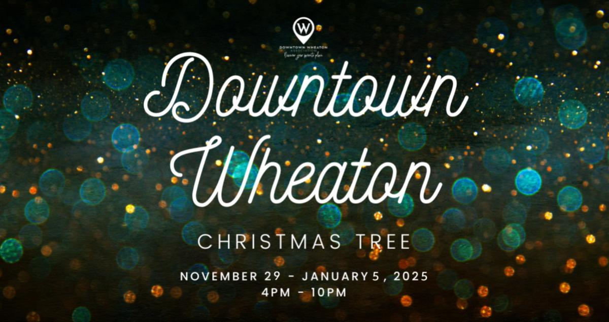 Christmas Tree Lighting