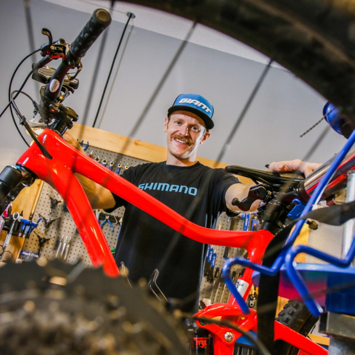 Stache Bike and Adventure Eau Claire WI 54703