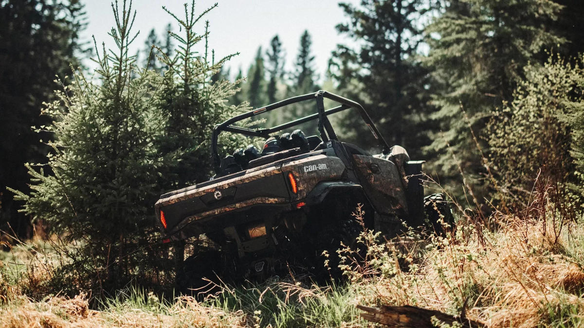 Wilderness powersports 2025
