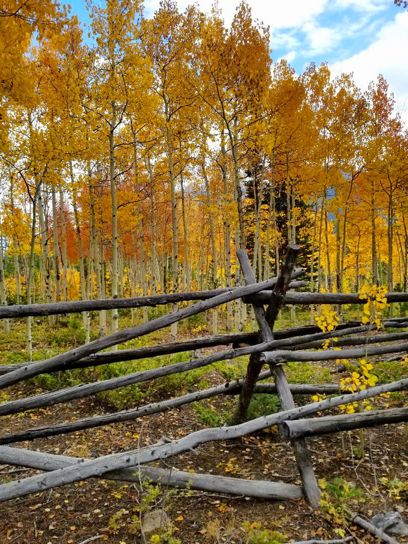 Rocky Mountains Property Services