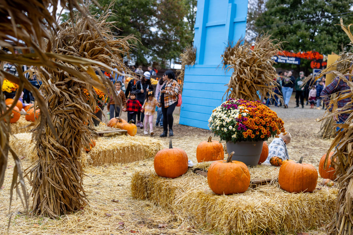 Cox Farms