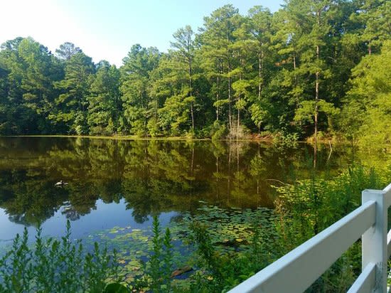 Rivercourt Park