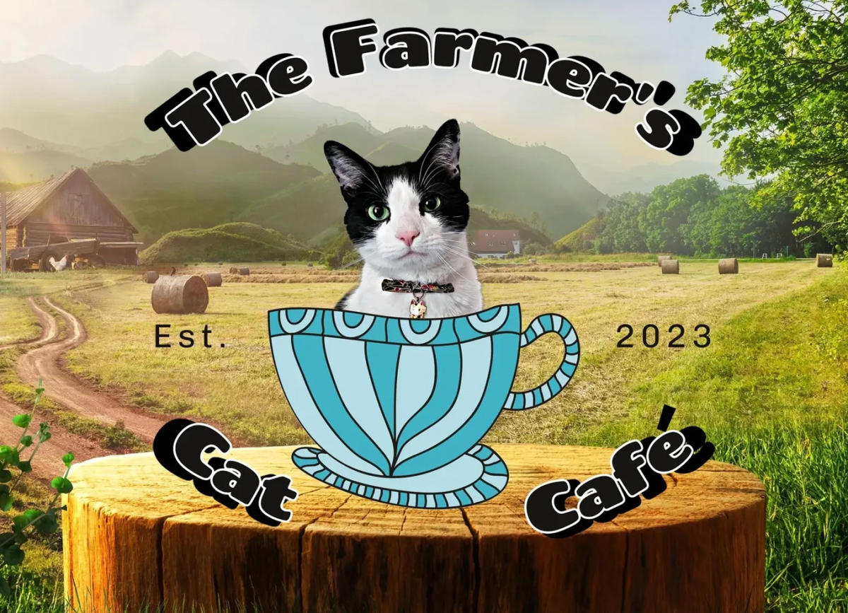 Farmer #39 s Cat Cafe