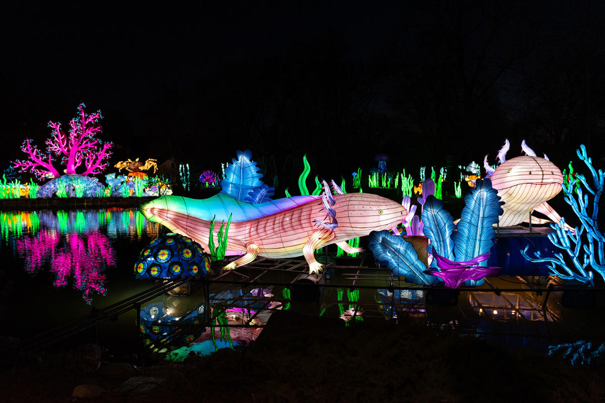 Glo Wild at the Fort Wayne Zoo