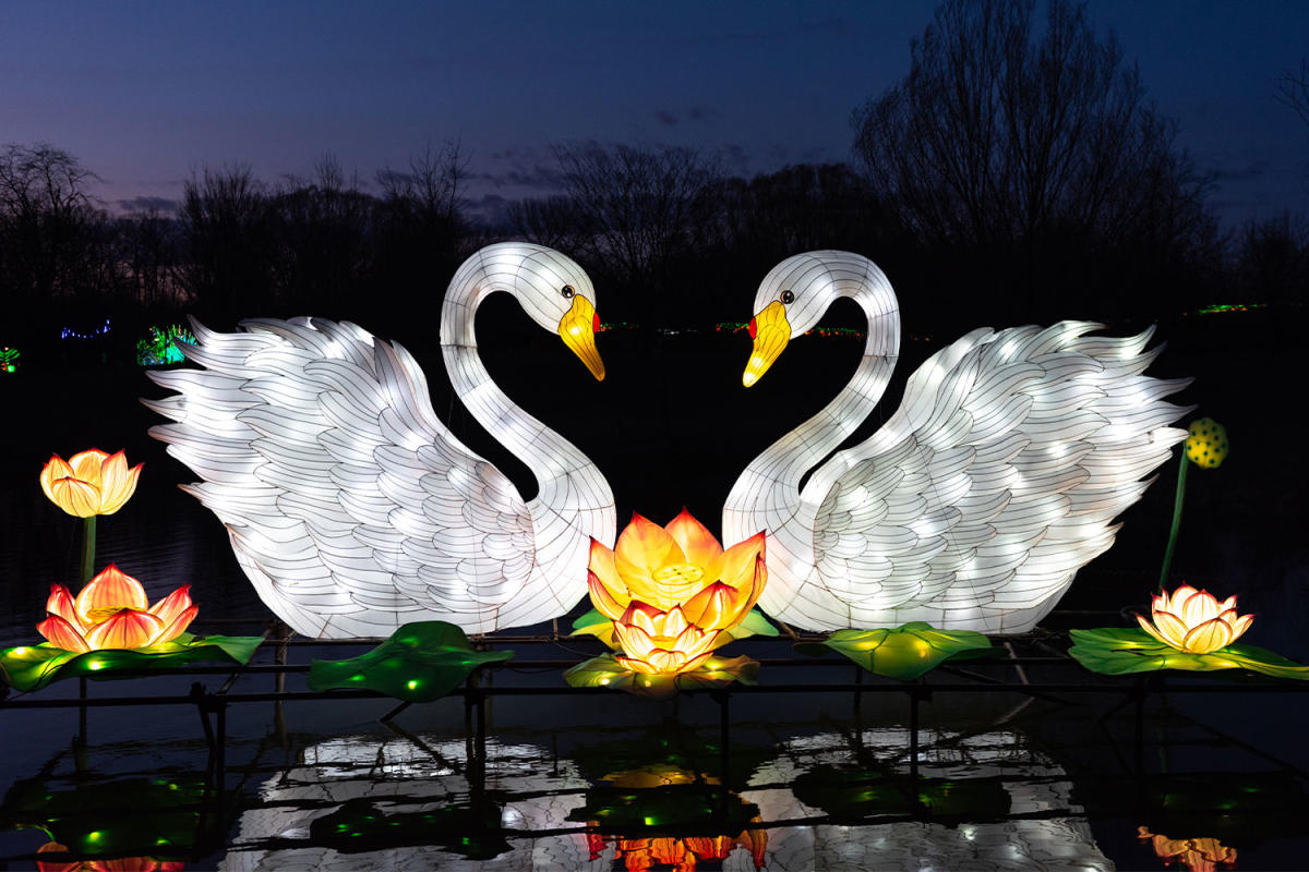 Glo Wild at the Fort Wayne Zoo