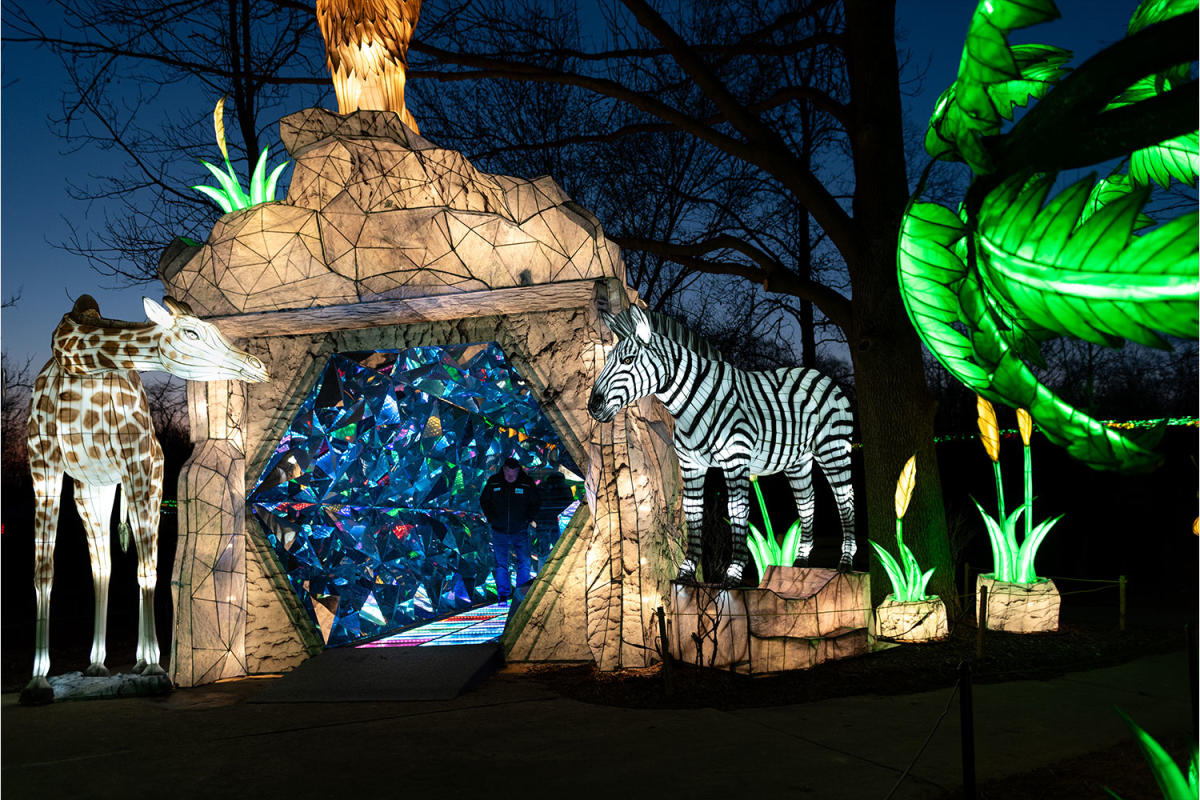 Glo Wild at the Fort Wayne Zoo