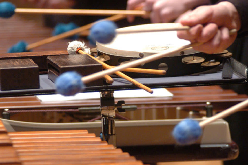 Percussion Day