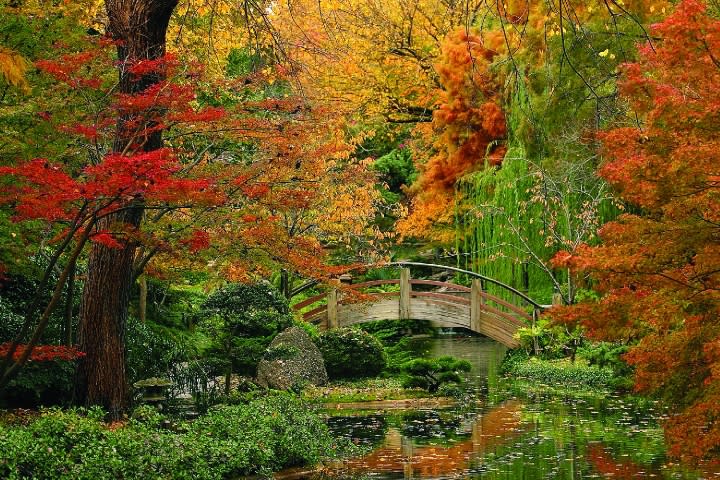 Japanese Gardens Fort Worth: Serene Oasis Awaits You