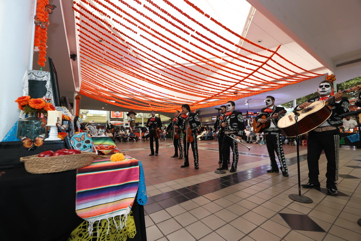 Día de Los Muertos Fort Worth, TX 76115