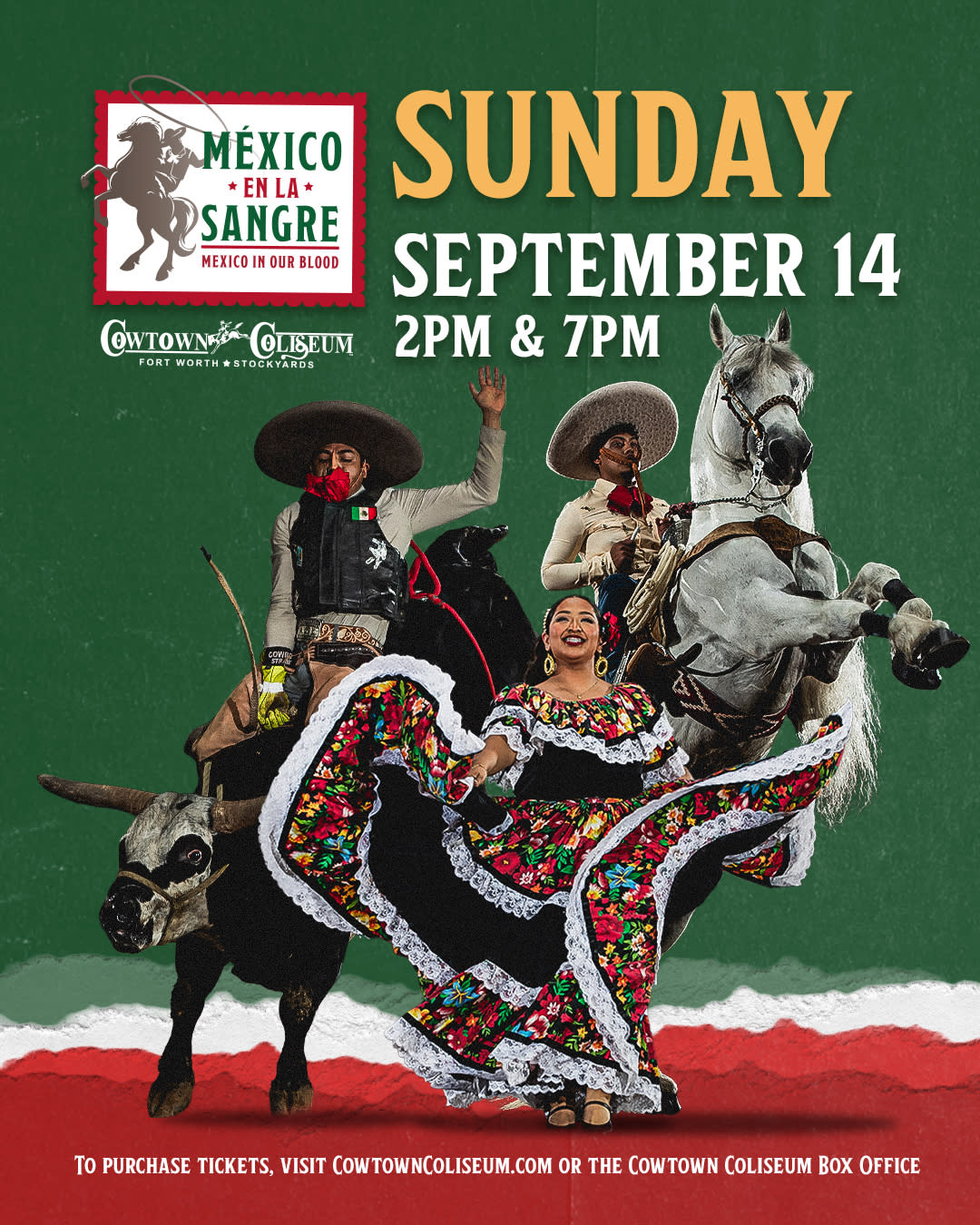 Tripping horses in mexican rodeos | Insiderpuj.com