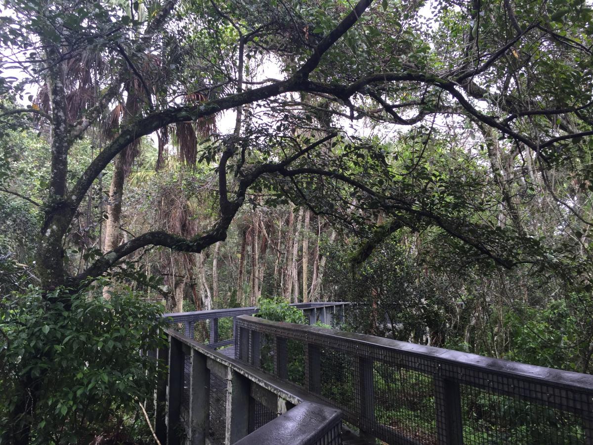 TALL CYPRESS NATURAL AREA